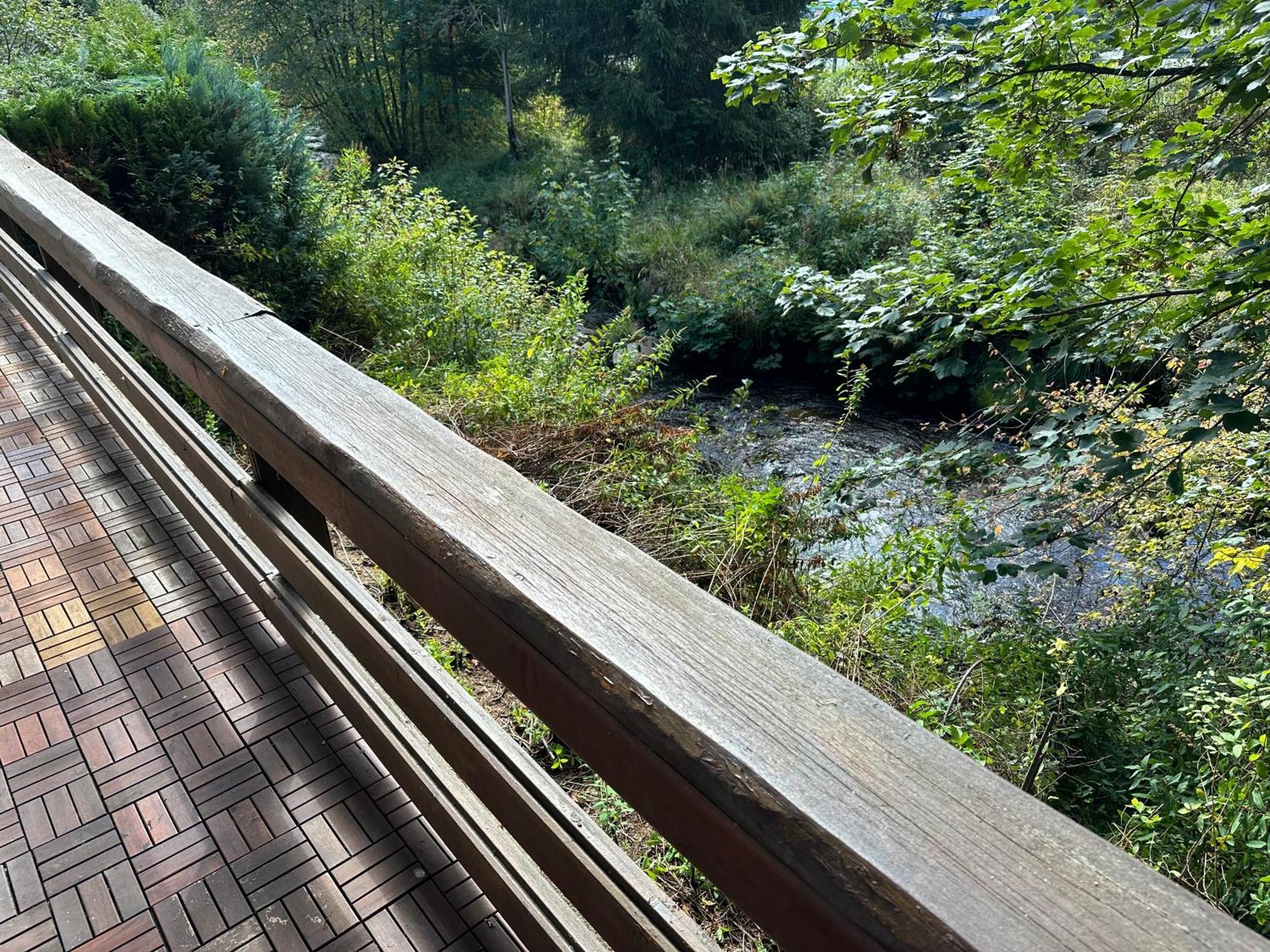 Ferienwohnungen Forellengrund Schierke Buitenkant foto